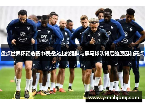 盘点世界杯预选赛中表现突出的强队与黑马球队背后的原因和亮点